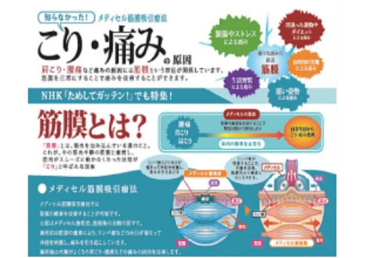プレゼン用 パンフレット (1枚)A3二つ折り